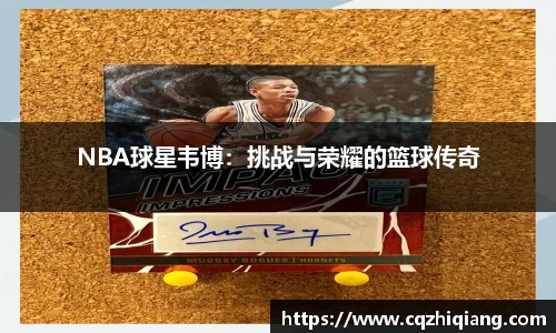 NBA球星韦博：挑战与荣耀的篮球传奇